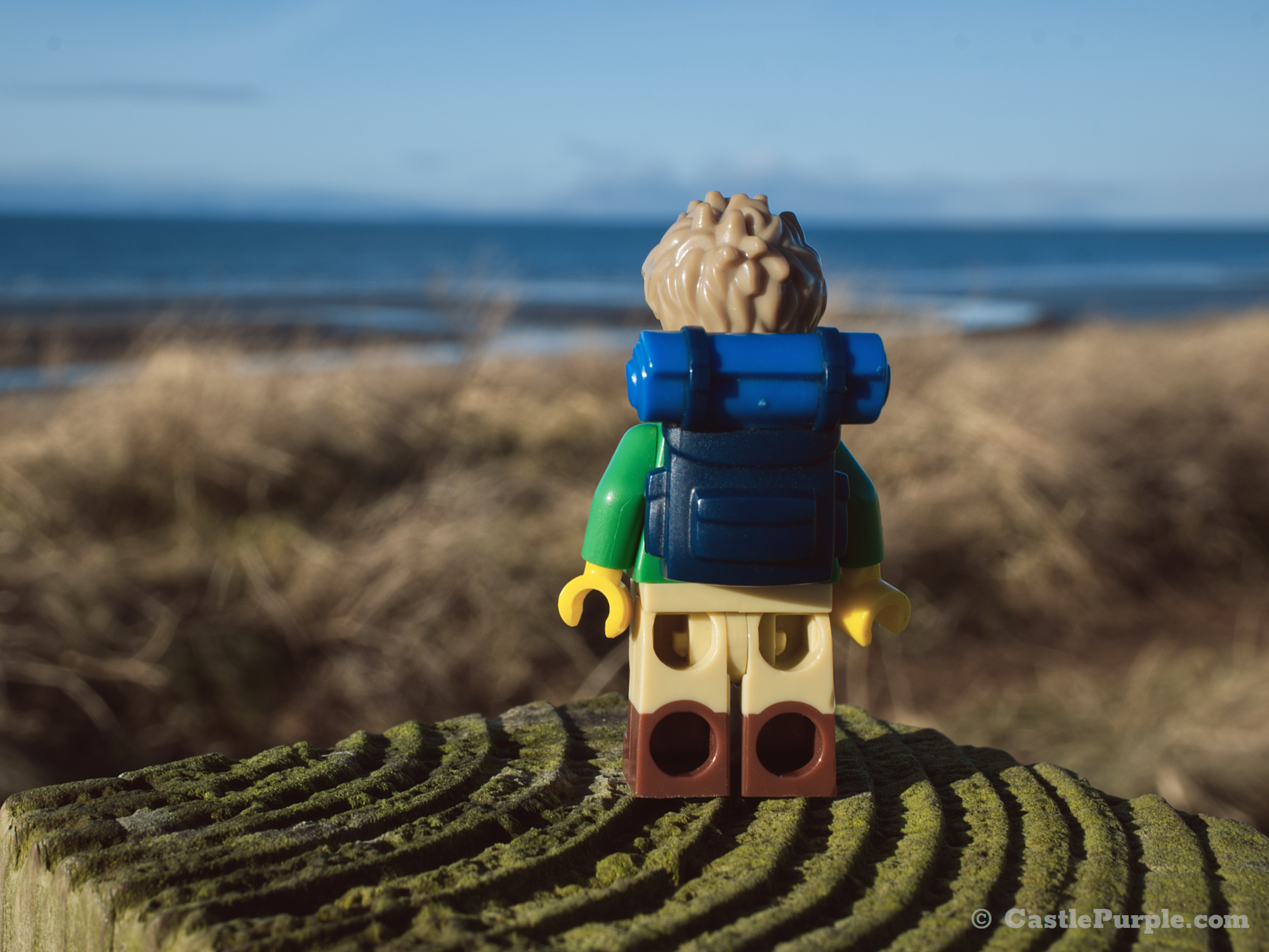 Lego minifigure, standing on top of a wooden post, admires the view over a beach and out to sea.