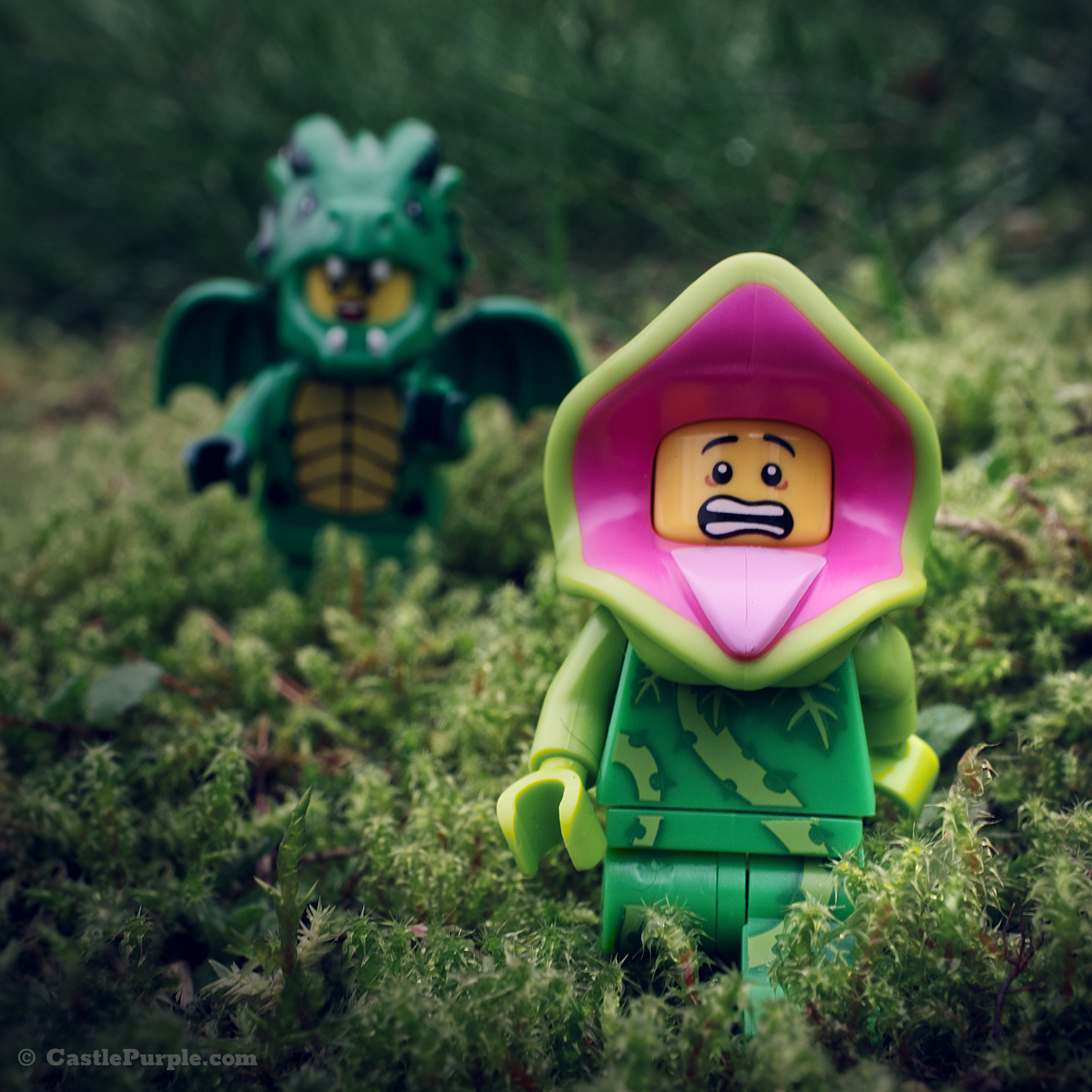In the foreground is the Lego plant monster minifigure being chased by the green dragon mini-figure in the background. They are placed in a bushy, grassy environment.